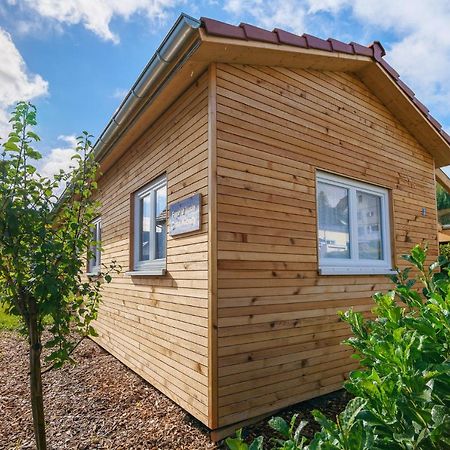 Vila Tiny-Ferienhaeusle Casa Wendy Loßburg Exteriér fotografie